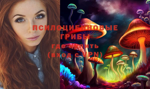 ALPHA-PVP Белокуриха