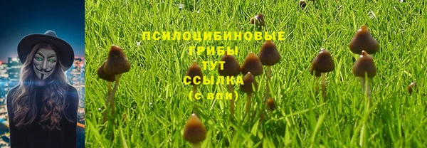 амф Балабаново