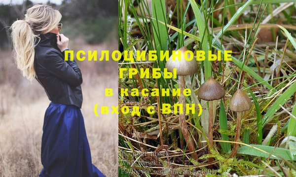 Альфа ПВП Беломорск