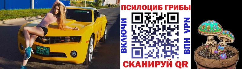 Галлюциногенные грибы прущие грибы Кизел